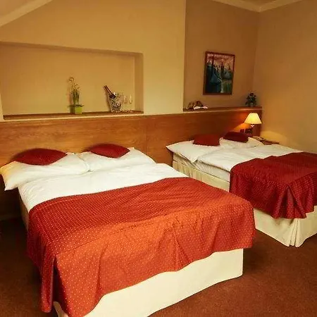Hotel Rott 4*